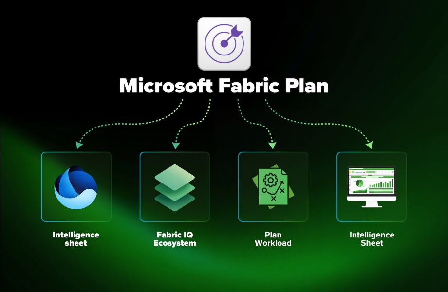 Microsoft Fabric Intelligence Sheet